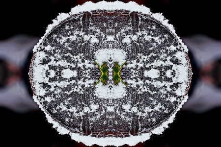 Snowflake on a black background. Snowflake on a black backgroundの写真素材