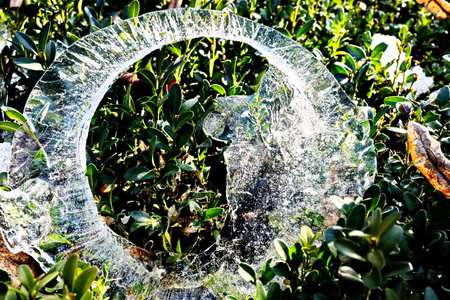 Broken glass on the green bushes. The concept of environmental protection.の写真素材