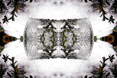 The abstract background of the snow and flowers in the form of a heartの写真素材