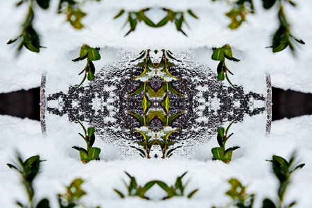 Kaleidoscope of color with beautiful ornamental pattern. Abstract kaleidoscope background.の写真素材