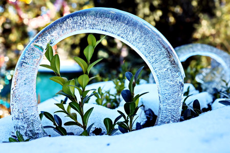 Decorative arch made of ice and green plants in the garden.の写真素材