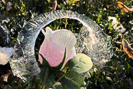 Plastic waste in the garden. plastic pollution. Pollution of the environment.の写真素材