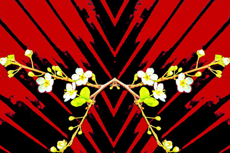 cherry blossom on a red background with stripes in grunge styleの写真素材