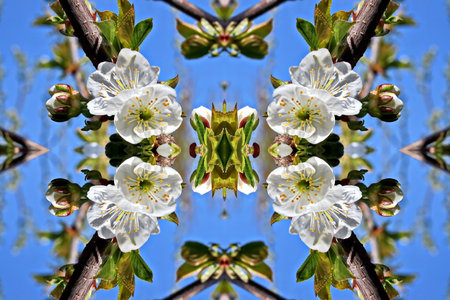 Abstract kaleidoscope background. Beautiful kaleidoscope texture. Unique kaleidoscope design.の写真素材