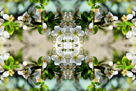 Abstract kaleidoscope background. Beautiful kaleidoscope texture. Unique kaleidoscope design.の写真素材