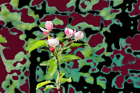 blossoming apple tree on a background of green and red spotsの写真素材