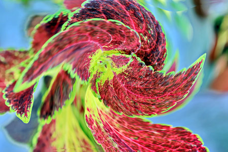 Macro closeup of fractal flower, digital artwork for creative graphic design