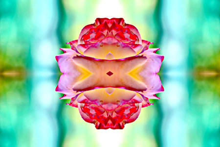 abstract flower on green background with bokeh defocused lights