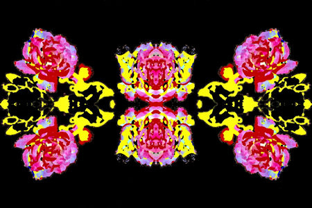 Abstract fractal illustration for creative design looks like peonies on a black background