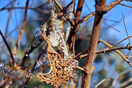 Closeup of Christmas tree decoration on a tree branch in the garden