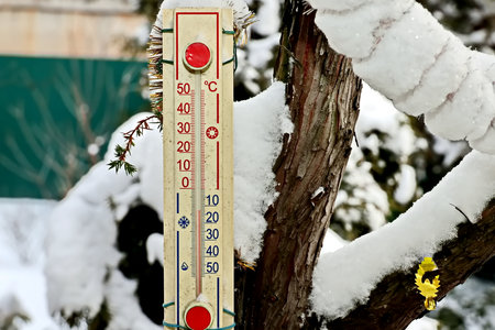 Thermometer on a branch covered with snow and ice in winterの写真素材