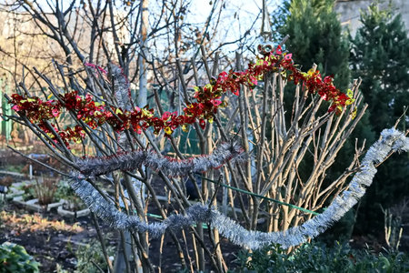 Wreath on a tree in the garden. Decorations for the holiday.の写真素材