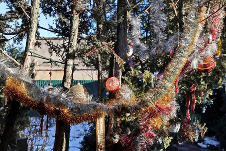 Decorations for Christmas and New Year on the streets of the city.の写真素材