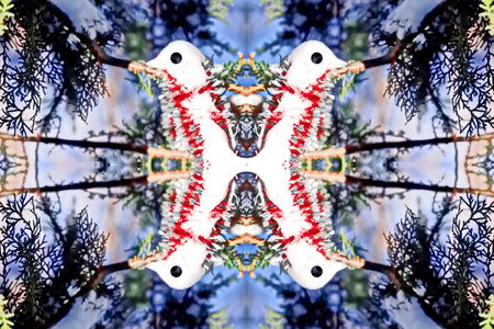 Abstract kaleidoscope background. Beautiful multicolor kaleidoscope texture. Unique kaleidoscope design.の写真素材