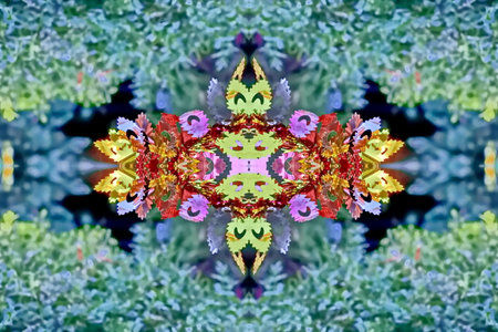 Kaleidoscope of color with beautiful ornamental - Thorough background summary - seamlessの写真素材