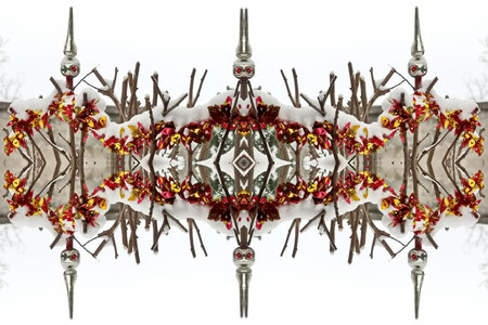 Orchids in a row on a white background with reflection.の写真素材