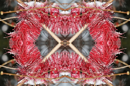 Christmas decoration in the form of a red garland on a background of snowの写真素材