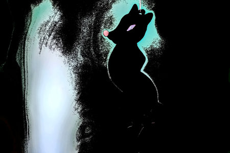 Silhouette of a cat on a black background with colored spotsの写真素材