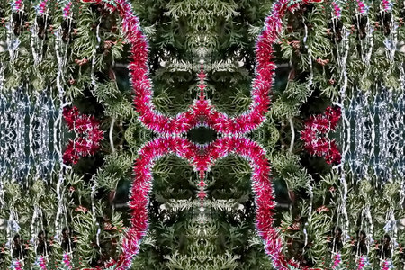 Ornamental plants in the garden. Decorated with red flowers.