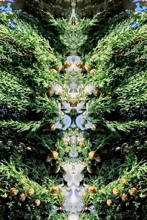 Ornament in the form of a kaleidoscope with floral motifsの写真素材