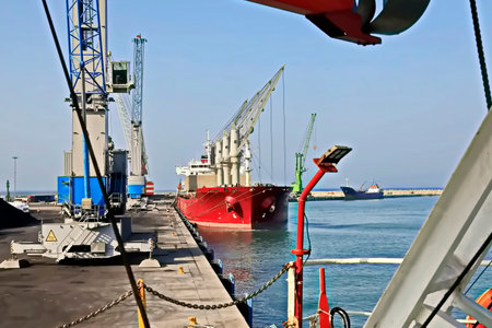 Container terminal for loading bulk cargo of iron ore by ship cranes and grabs