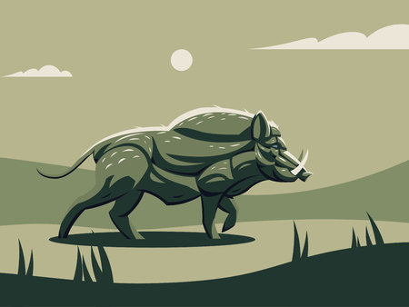 Wild boar with tusks. Vector illustration.のイラスト素材