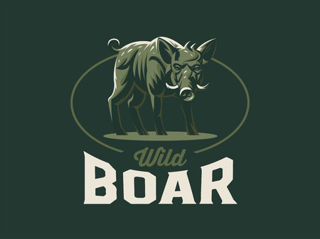 Wild boar with tusks. Vector illustration.のイラスト素材