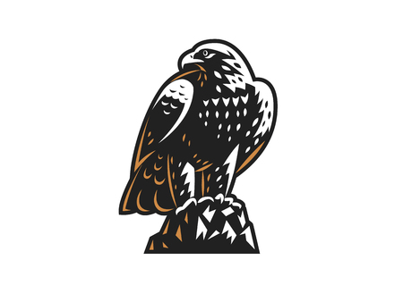 The flying eagle. Hawk. Bird.  Logo. Vector emblem.のイラスト素材