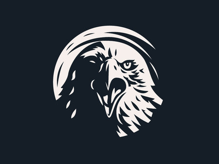 Head of bird of prey, eagle or hawk with. Vector illustration.のイラスト素材