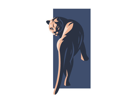Puma or lioness sneaks on its paws. Vector illustration.のイラスト素材