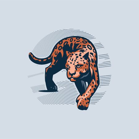Panther or cougar, wild cat moves, goes smoothly forward, rearranging its paws, against the sky. Vector illustration.のイラスト素材