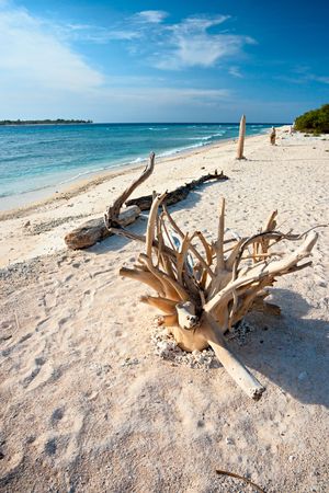 Beautiful sea and coastlines of Gili Meno, Indonesia.の写真素材