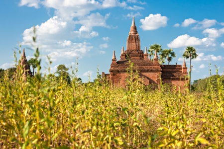 The plain of Bagan at sunset, Myanmar の写真素材