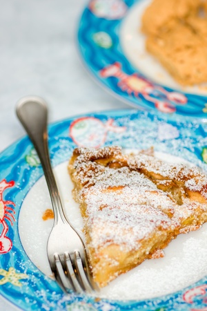 One dish of Home made apple pie.の写真素材