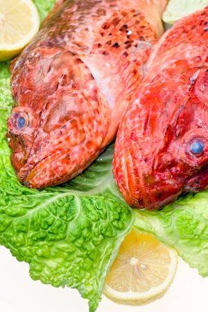 Fresh fish with with cabbage and lemon. Isolated on white.の写真素材