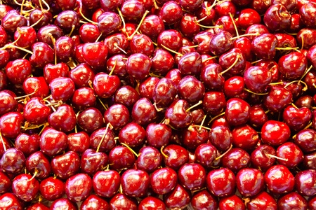 Cherries.の写真素材