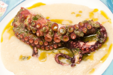 Boiled octopus on potato mousse.の写真素材
