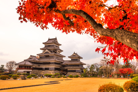 The Matsumoto Castle in Autumn, Nagano prefecture,  Japan.のeditorial素材