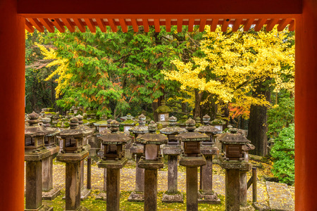Stone Lantern at Kasuga Taisha in Nara, Japanのeditorial素材