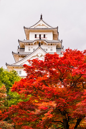 Himeji Castle, also called White Heron Castle, in autumn season, Japan.のeditorial素材