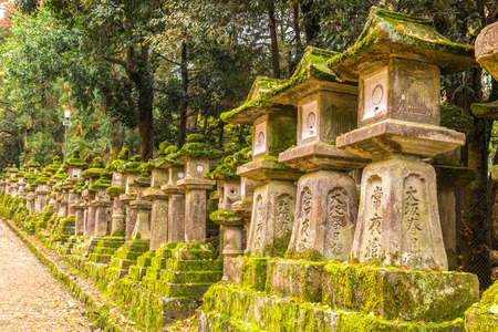 Stone Lantern at Kasuga Taisha in Nara, Japanのeditorial素材