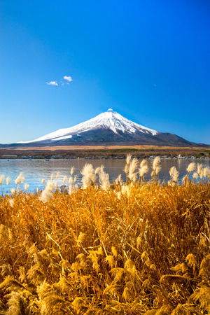 Mount Fuji reflected in Lake Yamanaka at dawn, Japan.の写真素材