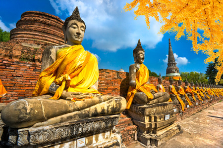 Raw of Buddha Statues in Ayutthaya, Thailand,の写真素材