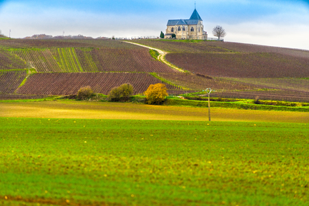 Vineyards And Chavot Courcourt Church In Champagne Area, Epernay, Franceの写真素材