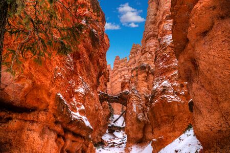 Winter overview of the Bryce National Park with snow, Utah, USA.の写真素材