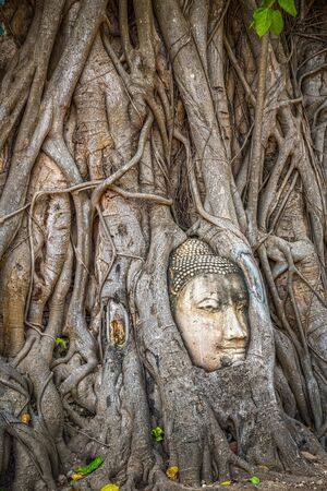 Buddha head trapped in bodhy tree roots in Wat Mahathat Temple, Ayutthaya.  Bangkok province, Thailandの写真素材