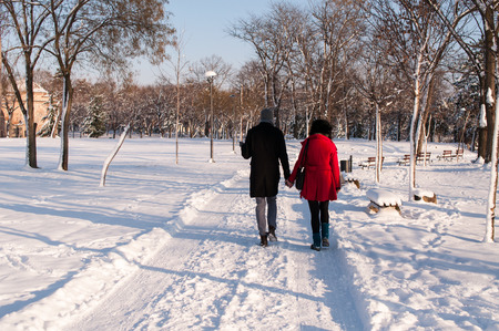Couple holding each other's hands going through the park in the winter on a beautiful sunny dayの写真素材
