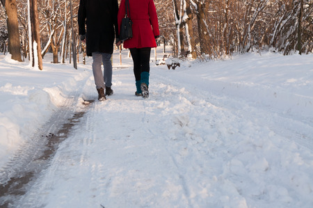 Couple holding each other's hands going through the park in the winter, low sectionの写真素材