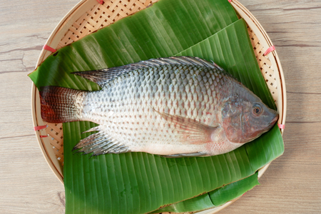 Fresh Nile Tilapia fish put on banana leaf on threshing basket with wood table background topviewの写真素材