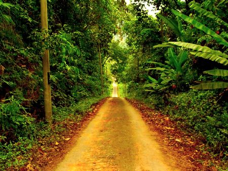 old rural village roadの写真素材